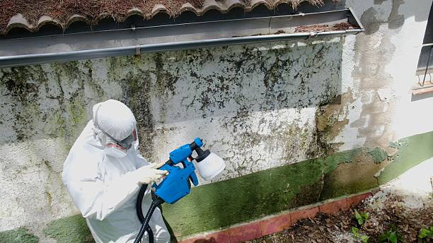 Top rated local Mold Inspection And Testing specialists in Clinton, TN